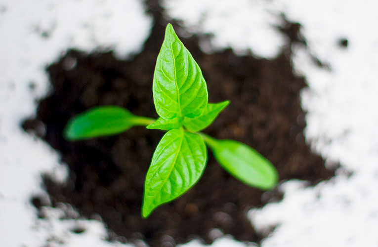 Calculating an Average Annual Growth Rate in MetrixND - Itron