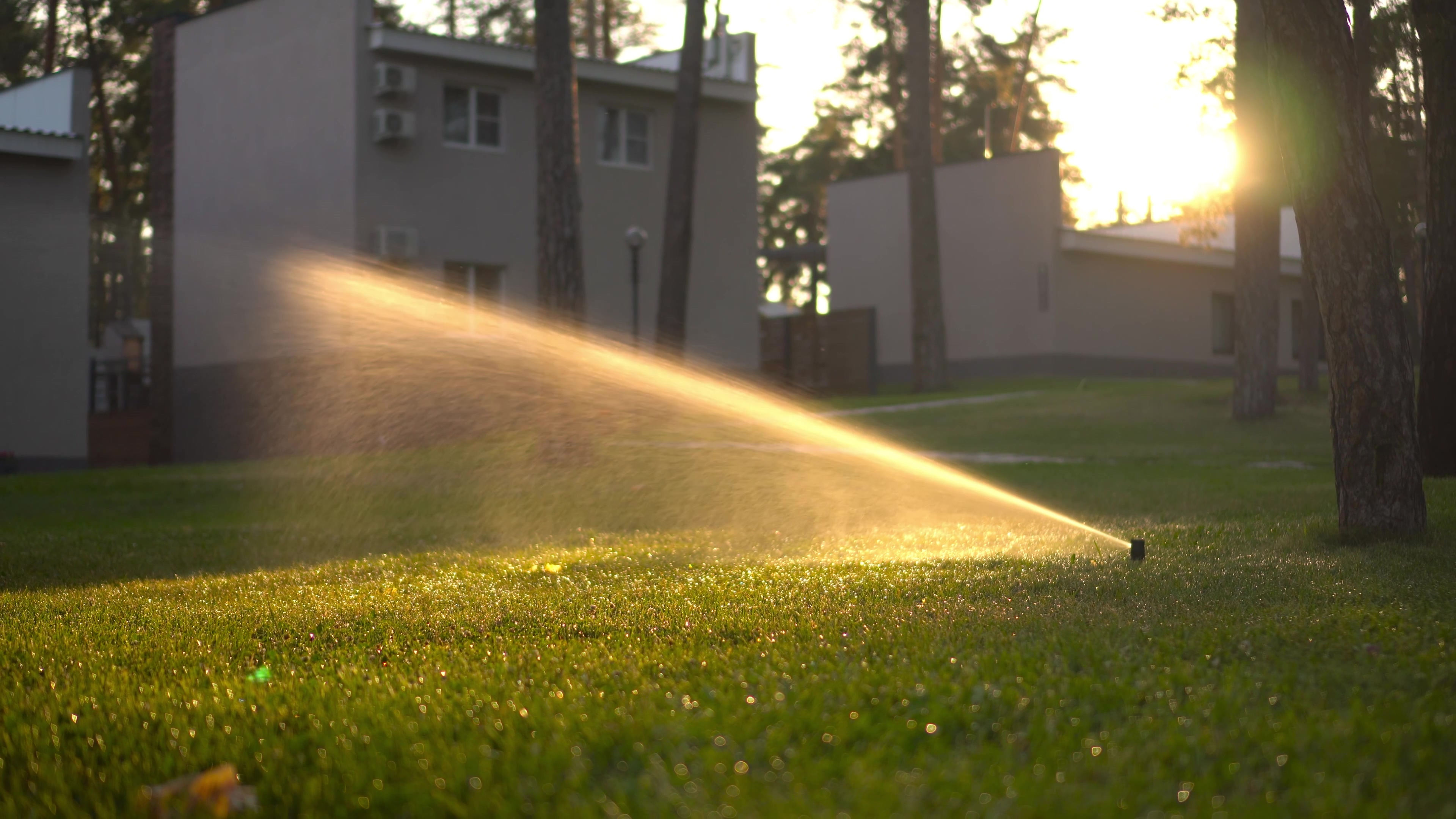Automatic lawn sprinkler at sunset
