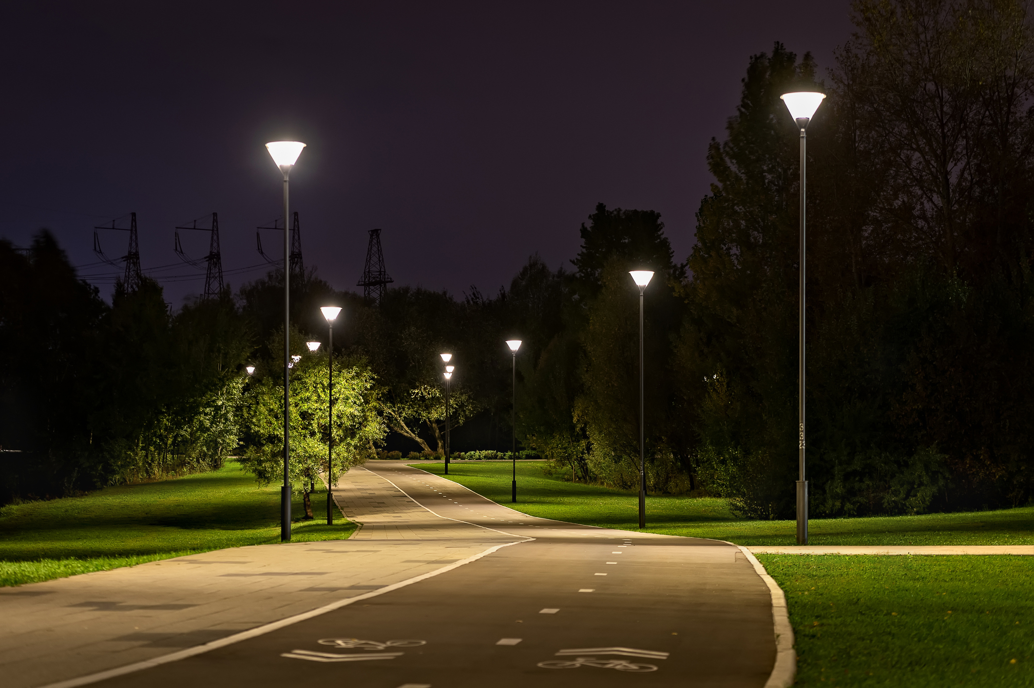 Streetlights at night in a park. Calculate your savings with our ROI Calculator